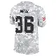 ＃36 Youth Ryan Neal Arctic Camo Limited Tampa Bay Buccaneers 2024 Salute to Service Jersey